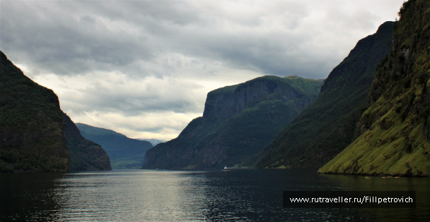 photo 1584250