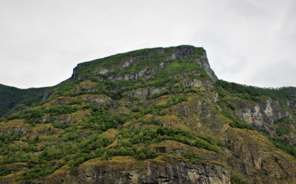 photo 1584533