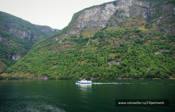 photo 1584942