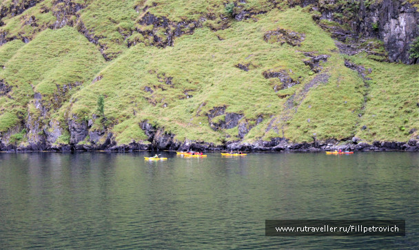 photo 1593360