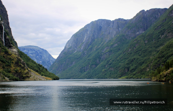 photo 1599274