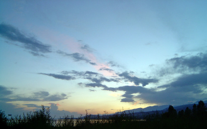 photo 339415
