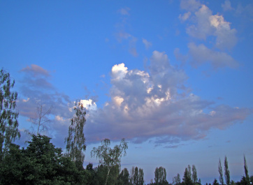photo 339420