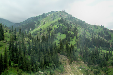 photo 486424