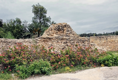 photo 822772