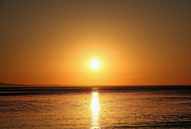 photo 822777