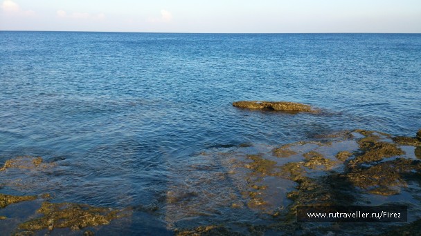 photo 856265