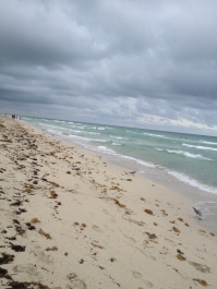 photo 964892