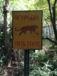 photo 965163