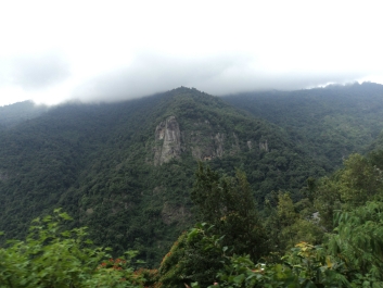 photo 965088