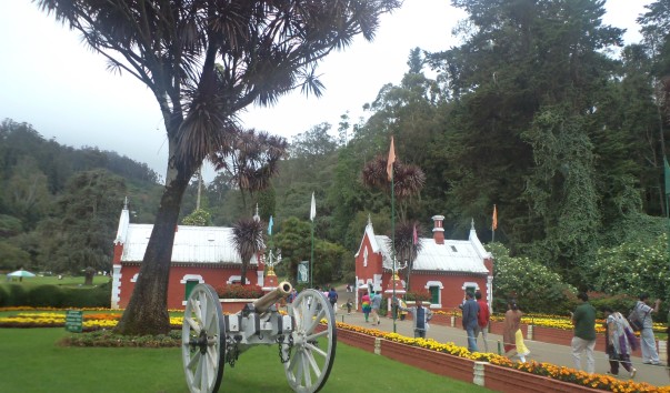 DSC01871 (2)