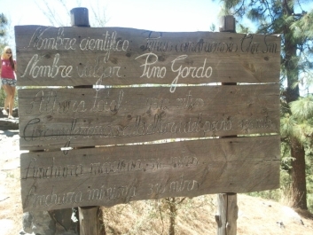 photo 964783