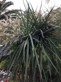 photo 743987