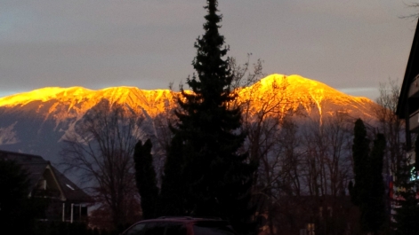 photo 958840