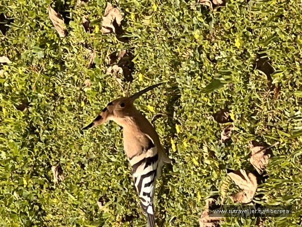 photo 2147995