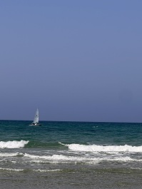 photo 2147987