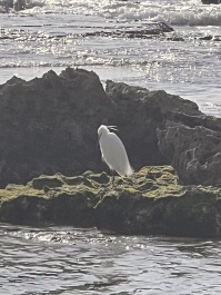 photo 2147993