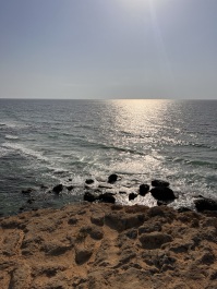 photo 2147994