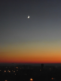 photo 902931