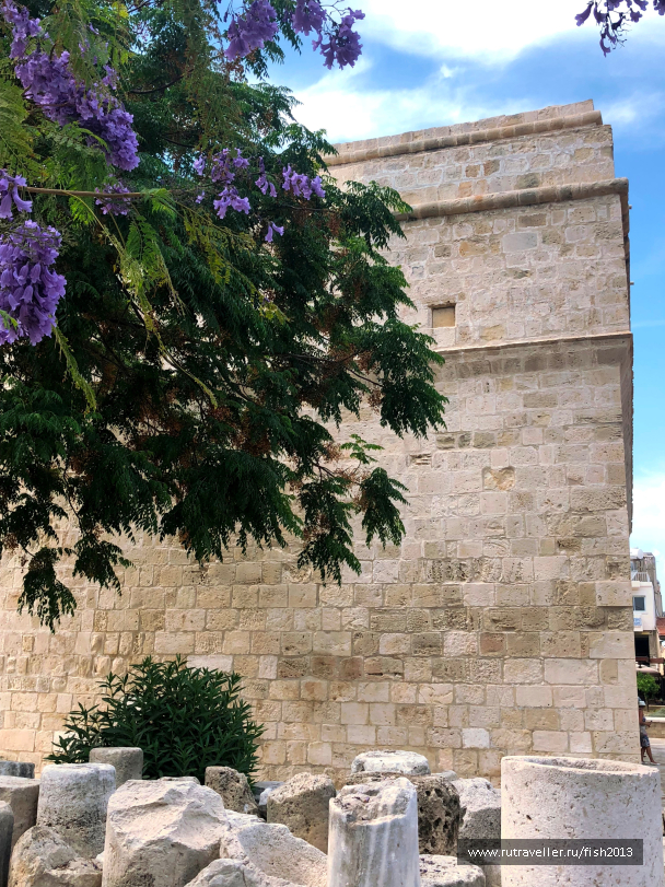 photo 1647520