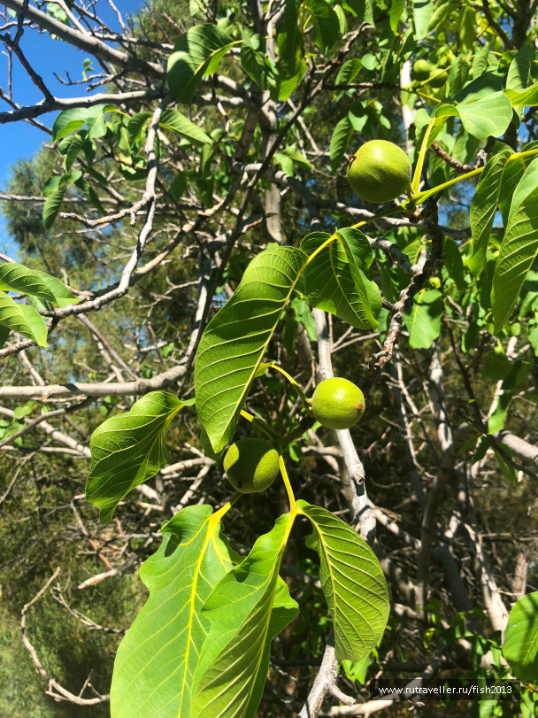 photo 1647537