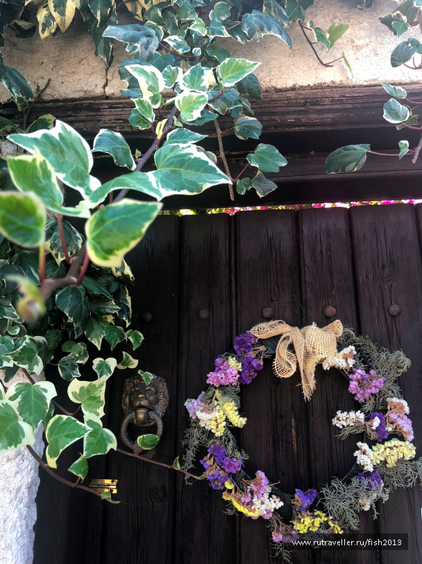 photo 1647559