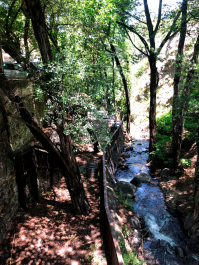 photo 1647655