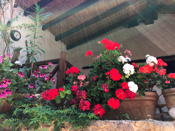 photo 1647661