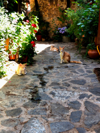 photo 1647663