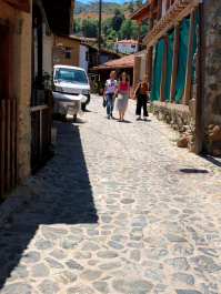 photo 1647669