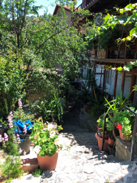 photo 1647672
