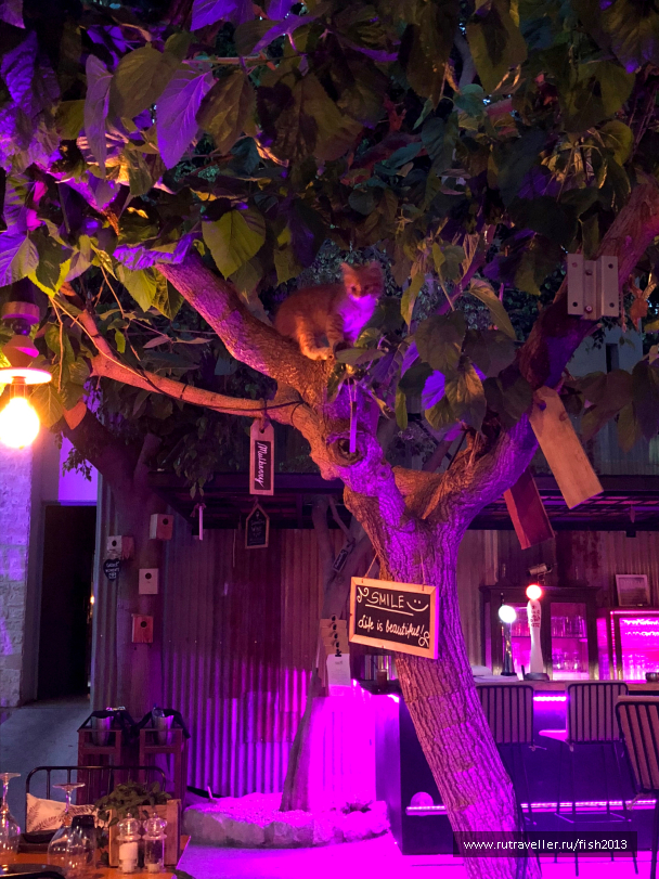 photo 1647719