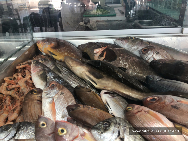photo 1647960