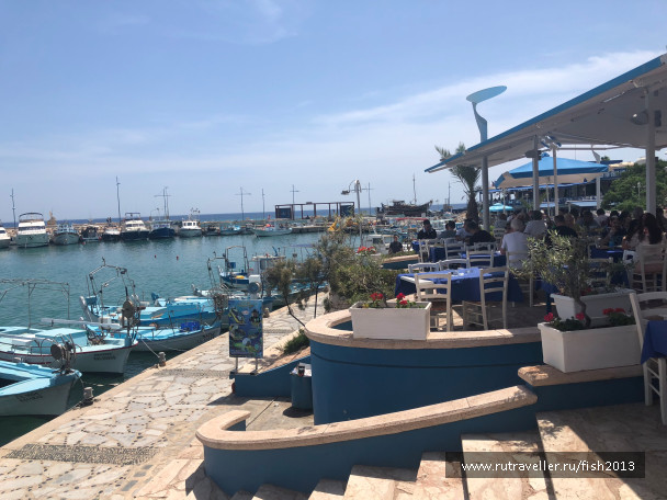 photo 1647961