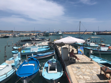 photo 1647963