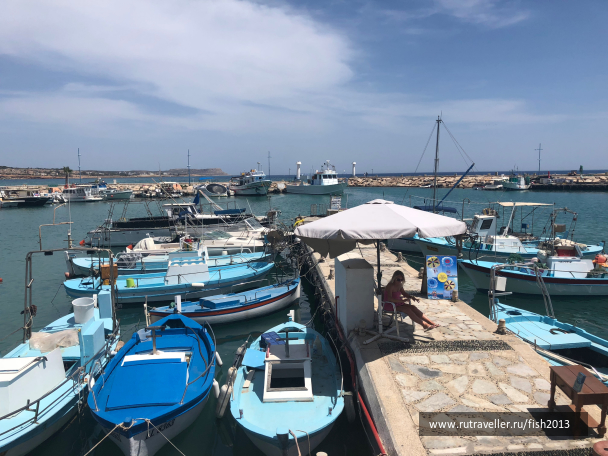 photo 1647963