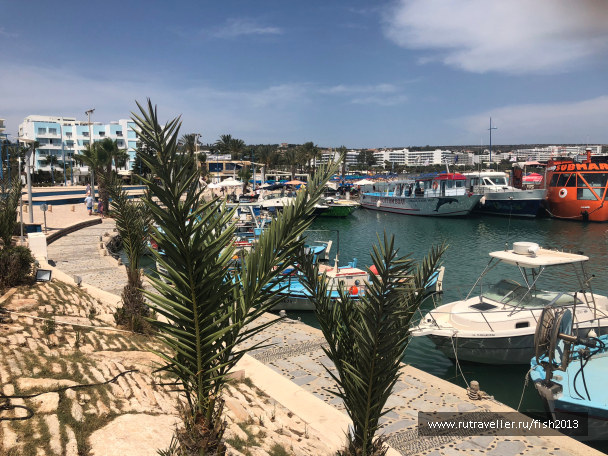 photo 1647964