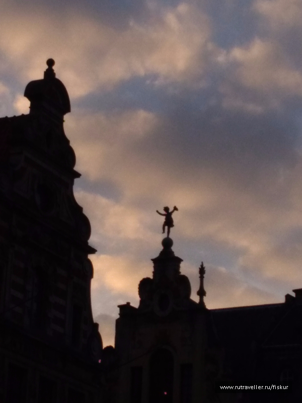 photo 1562255