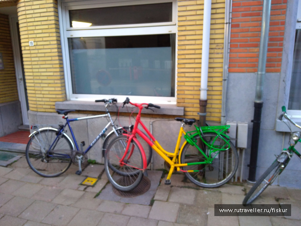 photo 1562264