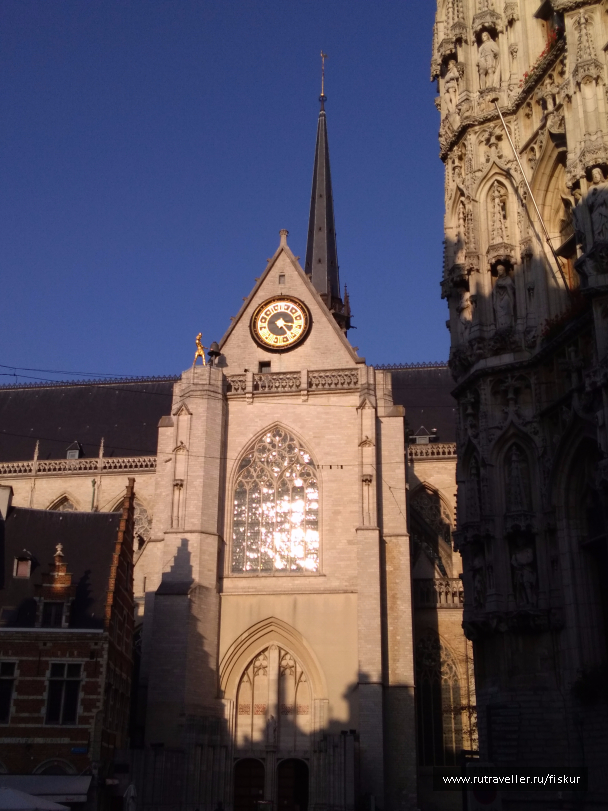 photo 1562267