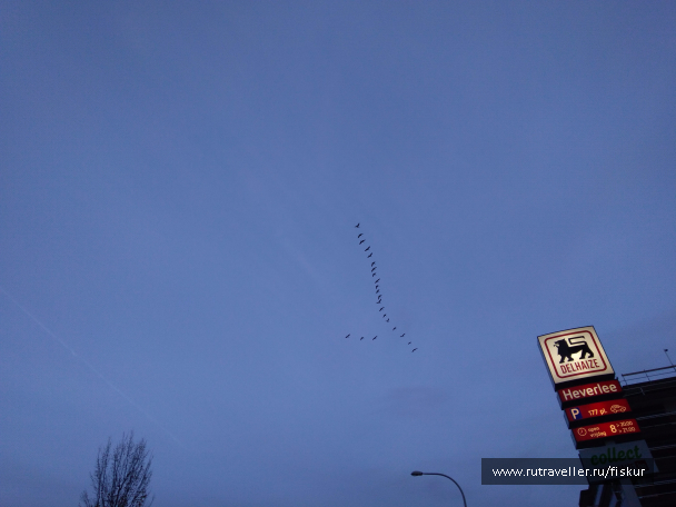photo 1562273