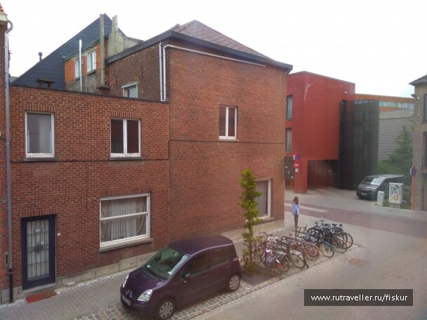 photo 1562291
