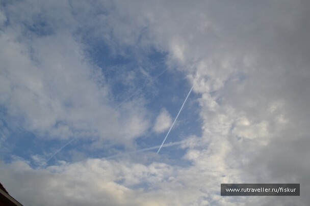 photo 1562304