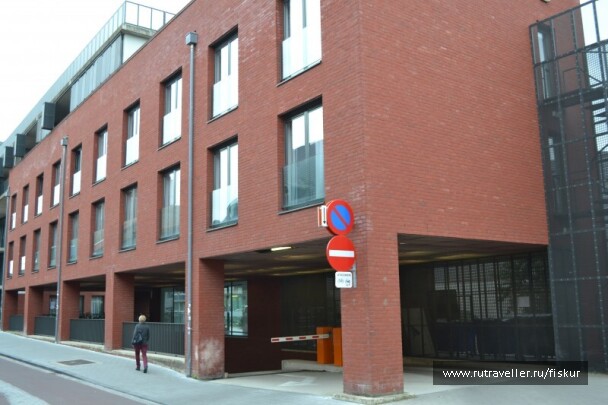 photo 1562305