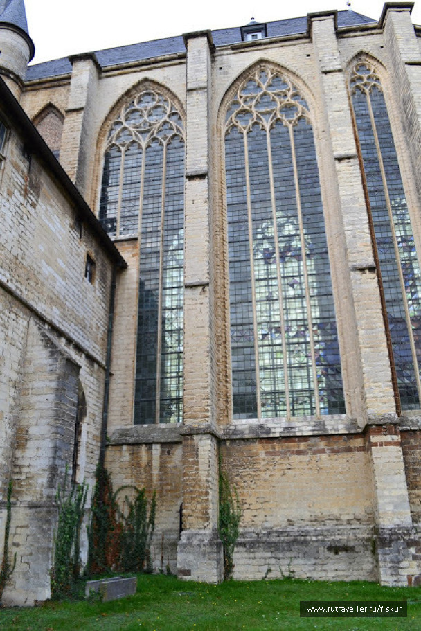 photo 1562318