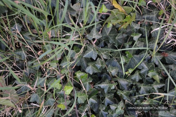 photo 1562609