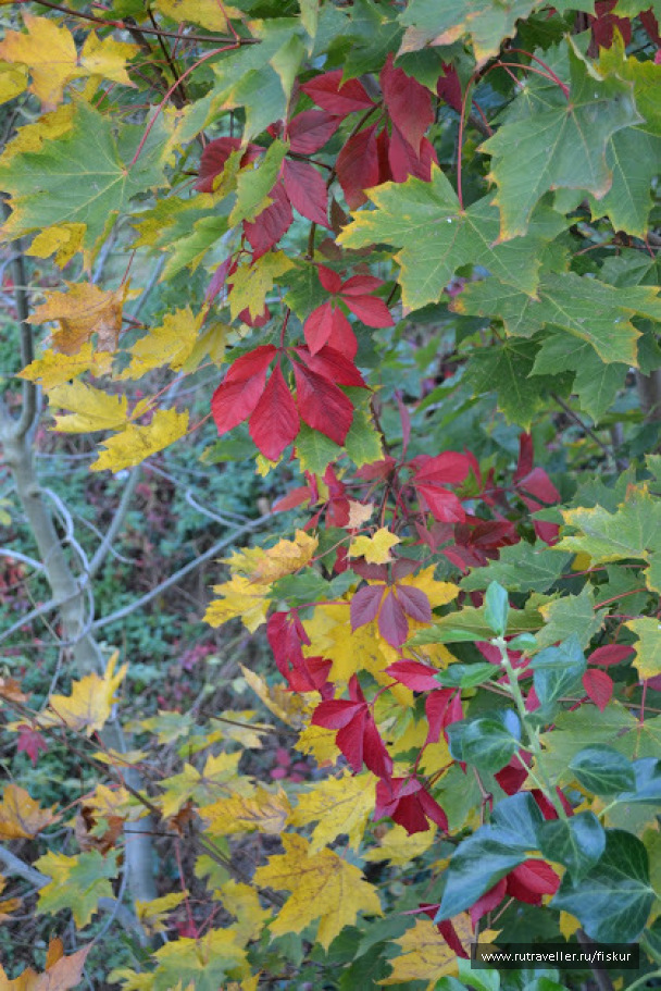 photo 1562610