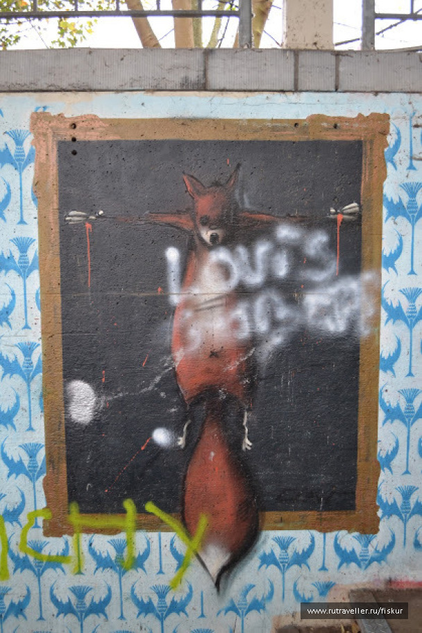 photo 1562676