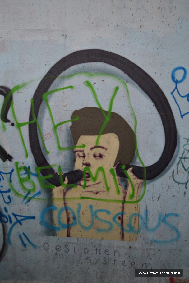photo 1562677
