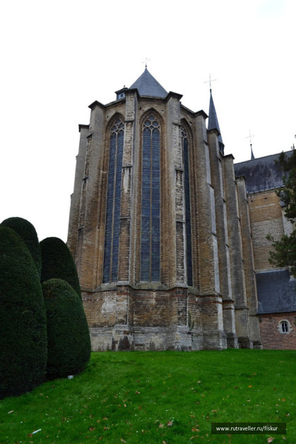 photo 1562681